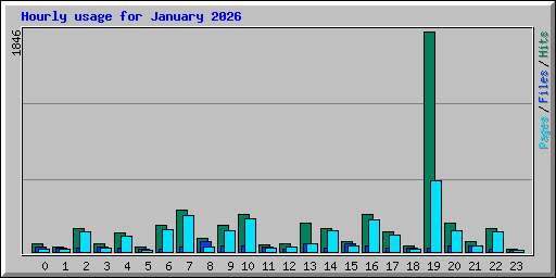 Hourly usage for January 2026