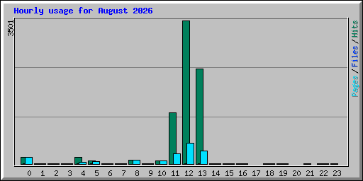 Hourly usage for August 2026