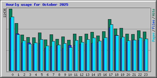 Hourly usage for October 2025
