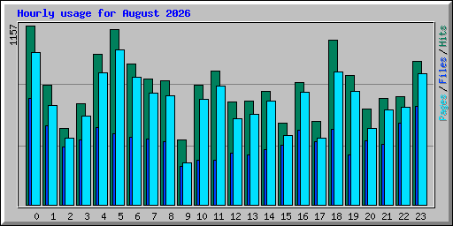 Hourly usage for August 2026
